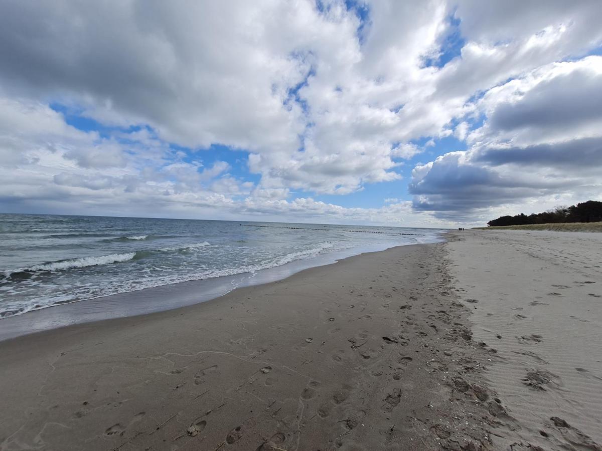 Zingst Achtern Diek 12D Elly Eksteriør billede