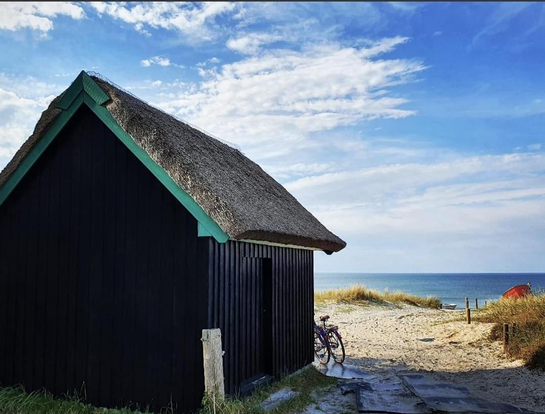 Zingst Achtern Diek 12D Elly Eksteriør billede